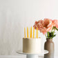 Birthday Candles